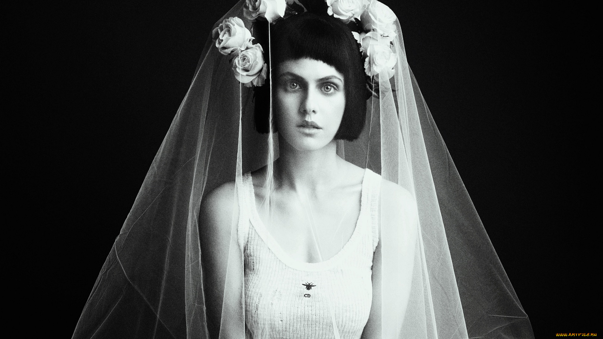 , alexandra daddario, -, , , , , 